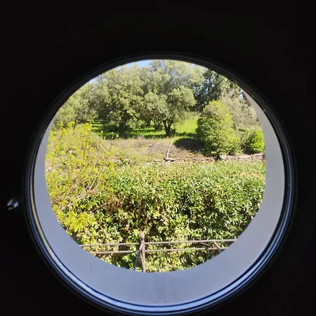 Duplex Dans Avec Piscine A *